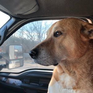 Meet your Posher, Mark